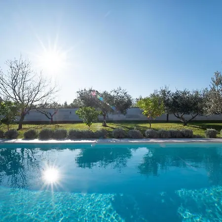Olive & Lavender With Pool *